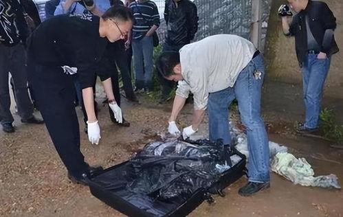 南京碎尸案爆料视频播放,视频播放揭示惊人真相