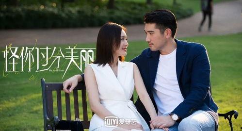 娱乐圈全员爆料小说,全员爆料背后的真相揭秘