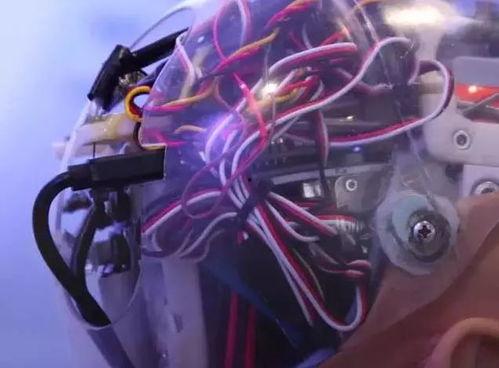 女机械人在线观看免费 第3张 女机械人在线观看免费 第3张